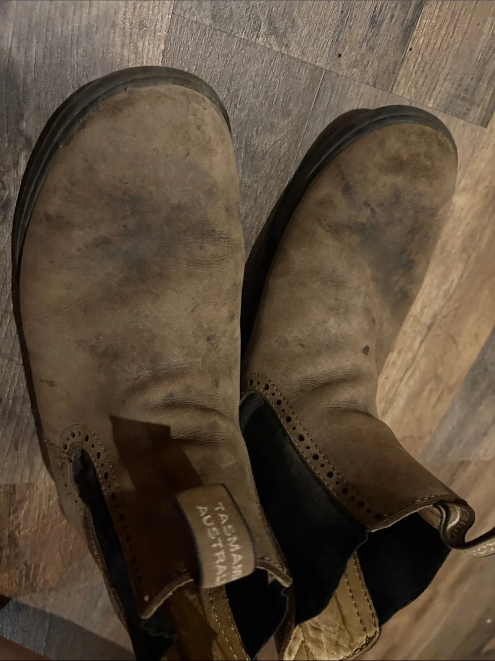 Blundstone Men's Brown Chelsea Work Boots